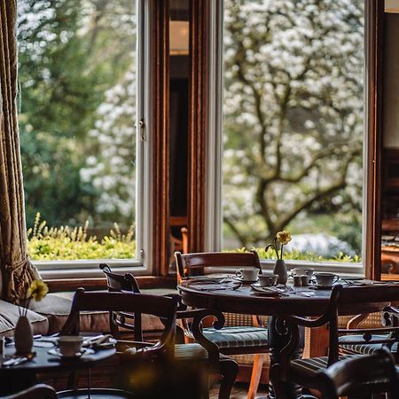 Ambleside Manor - Vegetarian B&B Zewnętrze zdjęcie
